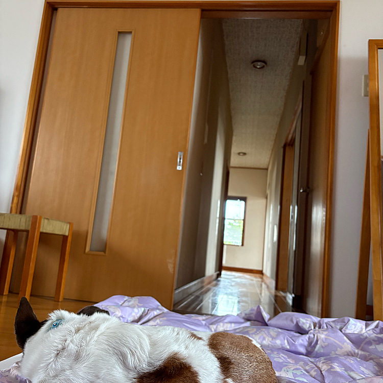 隔離したはずだけど
うつってしまった私と
夫乗せて
今朝病院へ
インフルエンザA型でした(私)