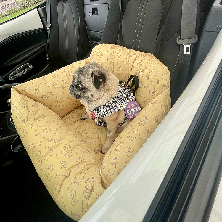 ドライブベッド新調しました🚗
早速とうちゃん号でお買い物行ってきましたよ🐽