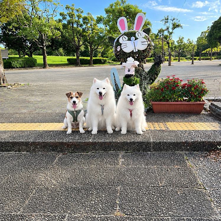 そしていつもの公園へ