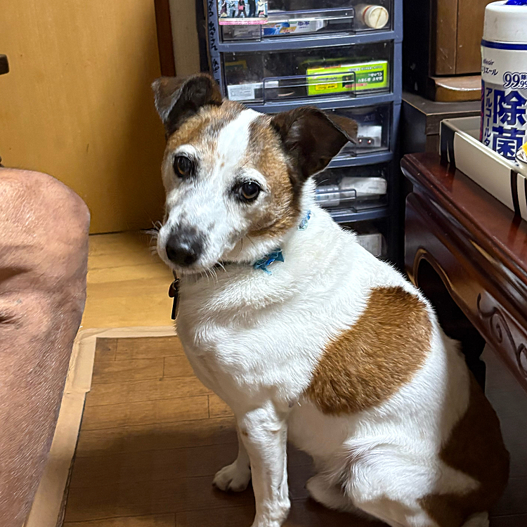 えっ？
撮るの⁉️