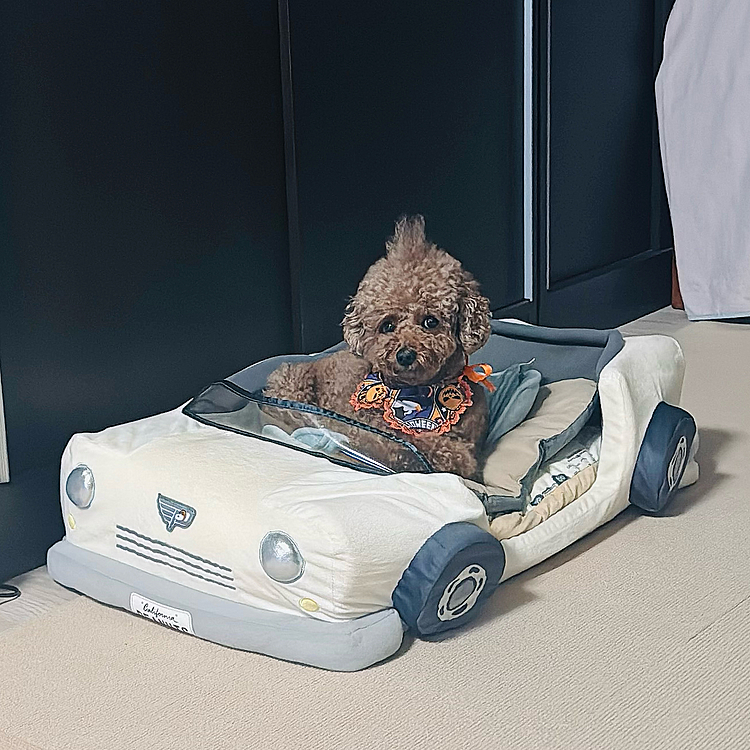 ブーブ🚗クッション、半年経ってようやく乗るようになりました

もう古くなったクッション、そっと捨てるね

気づかれないように


