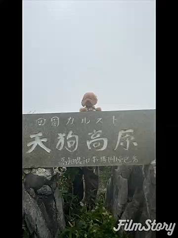 21(月)は天狗山のカルスト台地へ🚗
せっかくなら日の出&雲海も見ようと6時前には到着するも、、、
視界ほとんど真っ白で爆風もう笑うしか無いね😂
いつかリベンジしよう♪

愛媛に向かう途中にある檮原町で隈研吾さんの雲の上のギャラリーや図書館に寄りました！
どちらもとても素敵でした✨