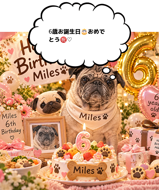 happy birthday Miles🐶♡🎂㊗️
６歳👑これからも可愛くすくすく育ってください🌱愛してる🥰