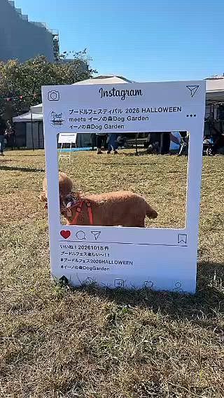ライちゃんの目的はドッグランだよー！

ということで、ドッグランで楽しんでいる様子を5倍速にしました

名刺交換されてる方とか多くて

自分の名刺も裏方だからいらんと言っているジュウ号はついて行けませんでした💦



