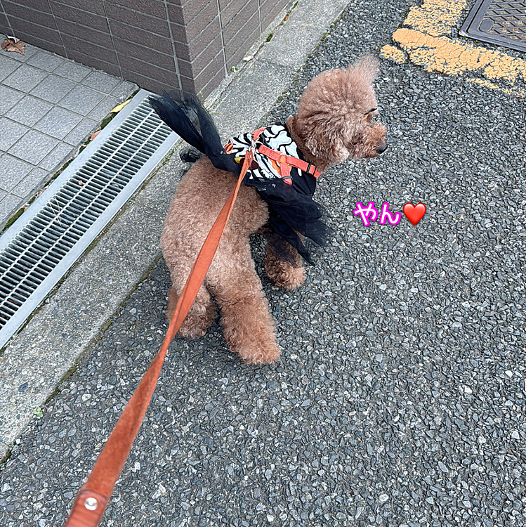 風が吹いて




