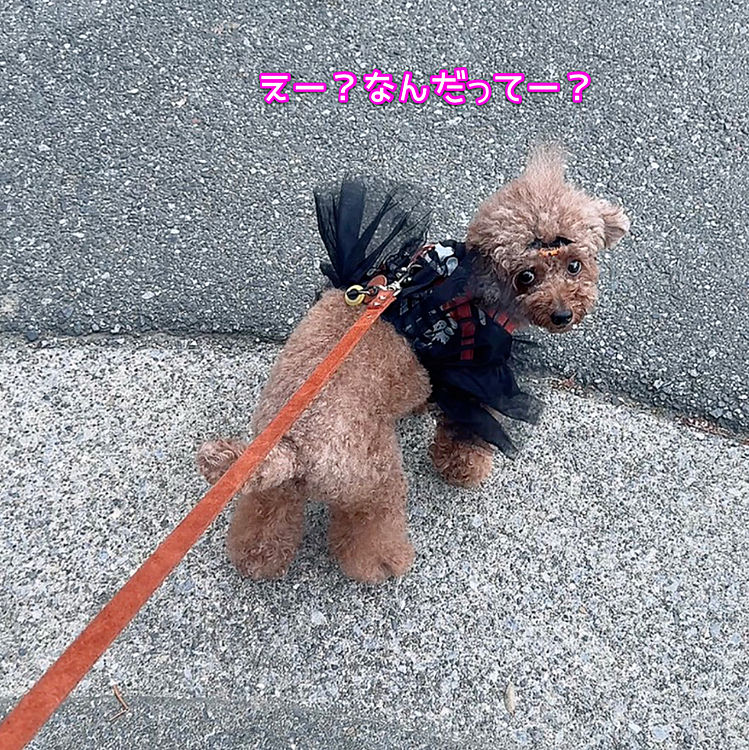 もう脱げるよ



