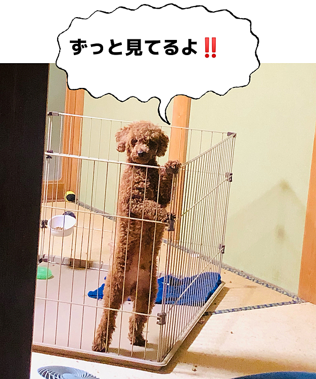 どこにいても監視されてます