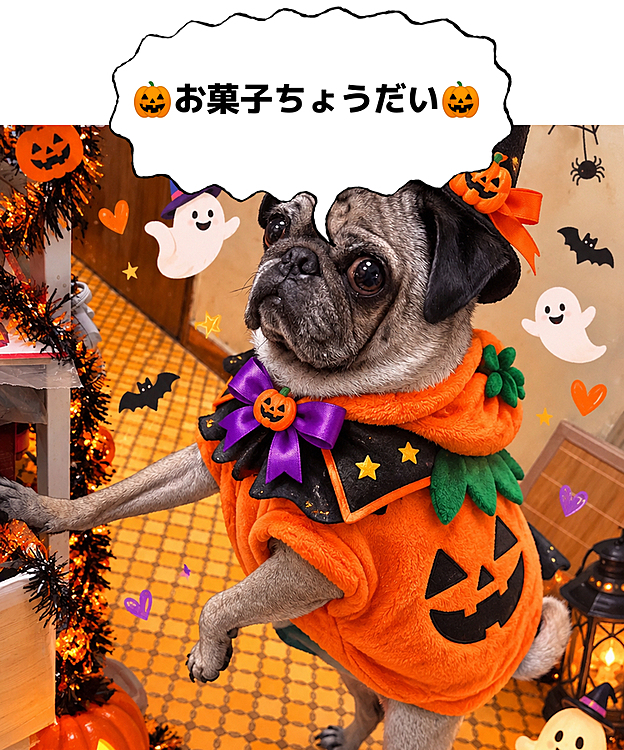  Halloween miles 🐶🎃♡