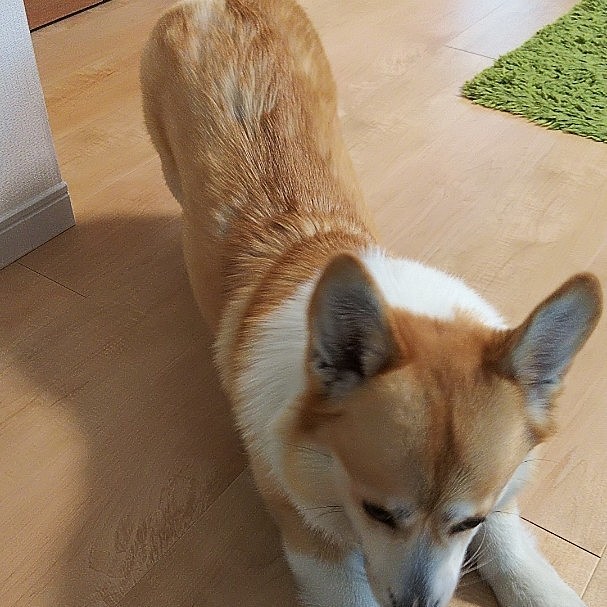 お尻上げ上げ