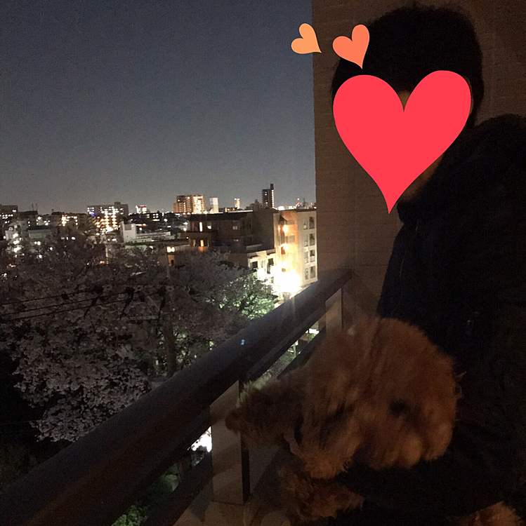 昨夜はベランダから桜とスーパームーンを見ての晩酌となりました🍷
