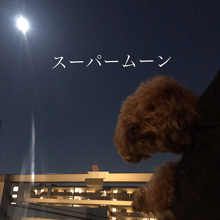 月光浴して気持ちもリフレッシュ🌕