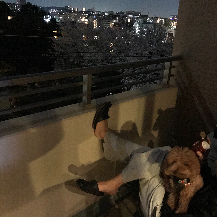 イスのみでテーブルはないのでお酒は水筒に入れてみました😆
