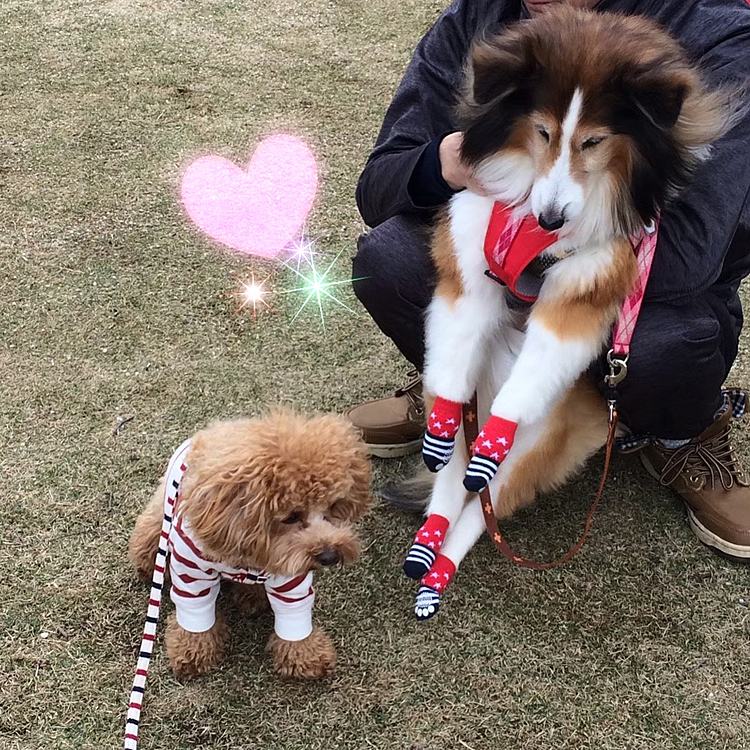2018.04.08
初めて❣️はなさんに会ったナイト😊
守ってくれてる感じがして嬉しかったなぁ💕