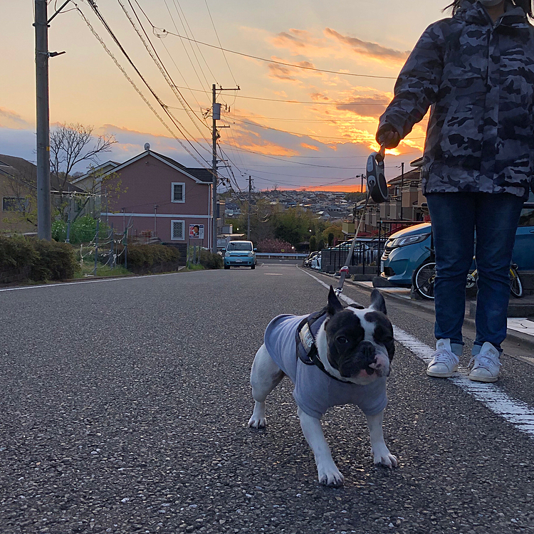 明日からはお天気下り坂みたいですが、夕焼けが綺麗でした😃