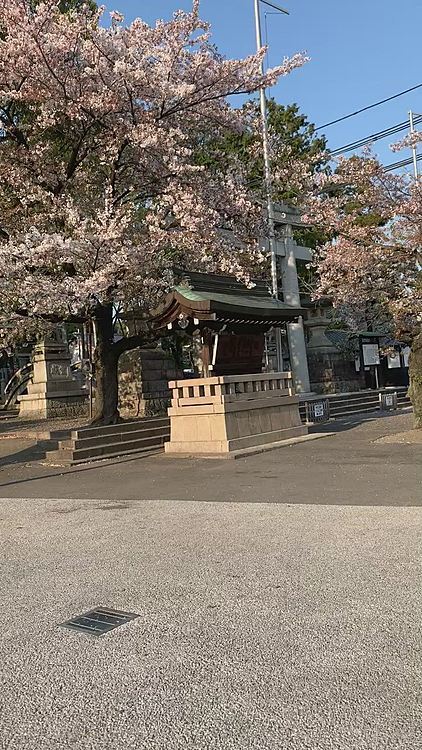 いつもなら、この時期観光客が沢山いるはずのお城前広場…
ハート絵馬で有名な神社前も、閑散としています…