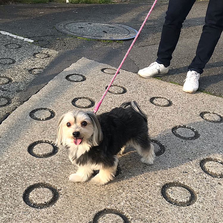 お散歩楽しい〜！