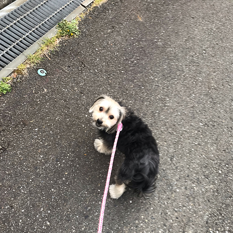 「帰るよ〜」と言ったら、え？って感じでした。