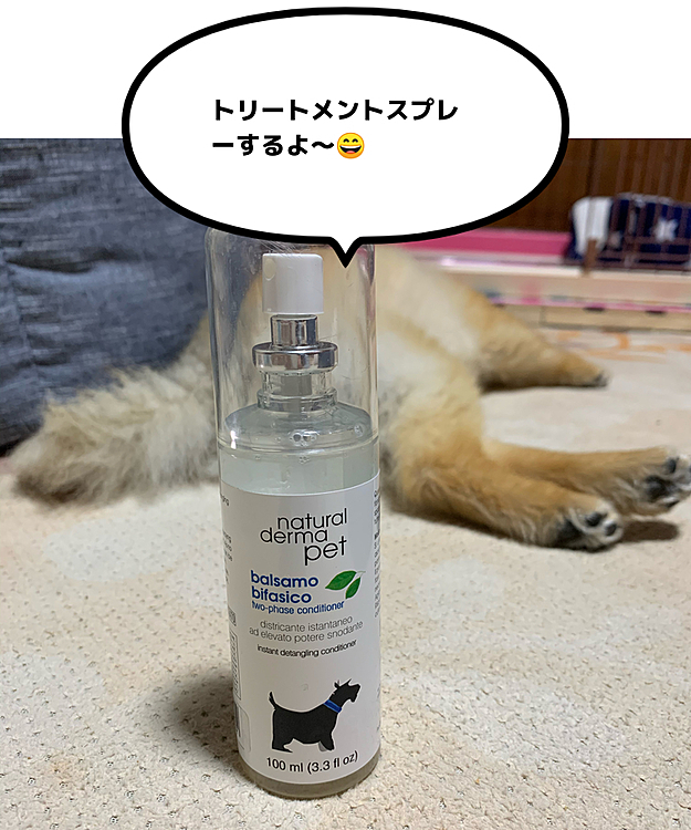 ブラッシングしま〜す😊