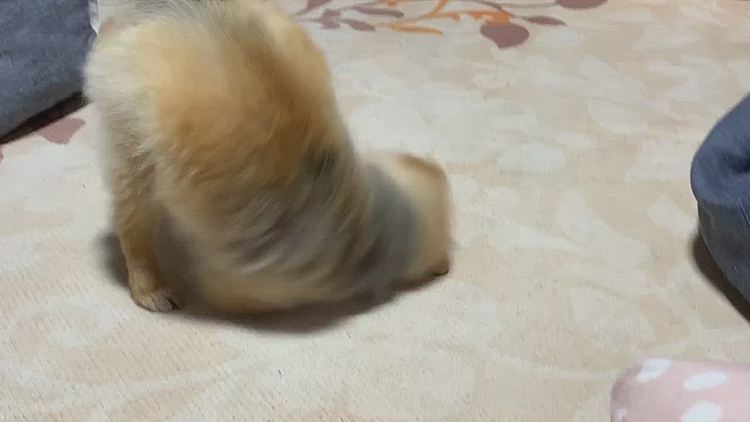 な、何々❗️どうした🤣