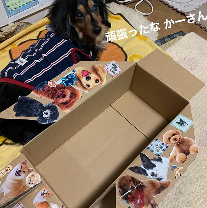 StayHomeっていうことで かーさんお暇なんで この土日に作ってみました あのダンボールで😁
シュクレ　飛行機✈️
収束したら 皆んなに会いに行きたいなぁ