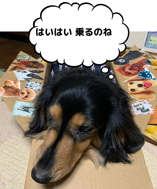 やる気のない パイロット😅