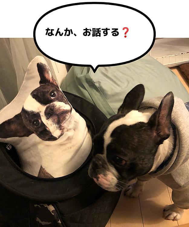 気になって仕方がないようです😆