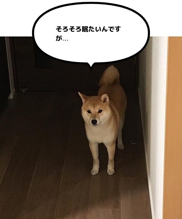 寝室に行きたいと訴えるせつ。
