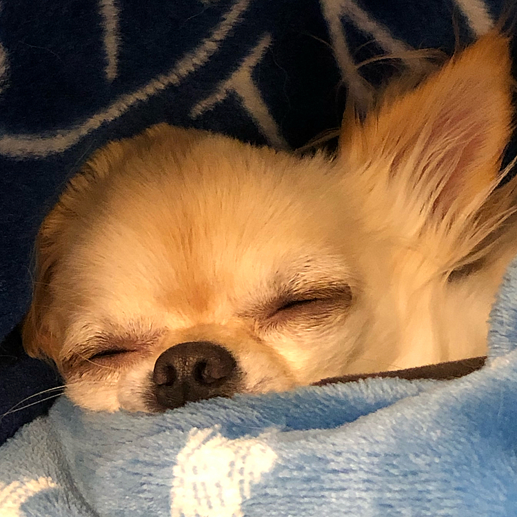 こんばんは😊
久しぶりの投稿です😅💦
可愛い寝顔だなぁ💕〜癒されます🥰