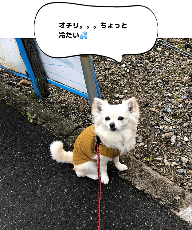 だって雨上がりで地面が濡れてるんだもん💦
そりゃ冷たいよ〜🤣