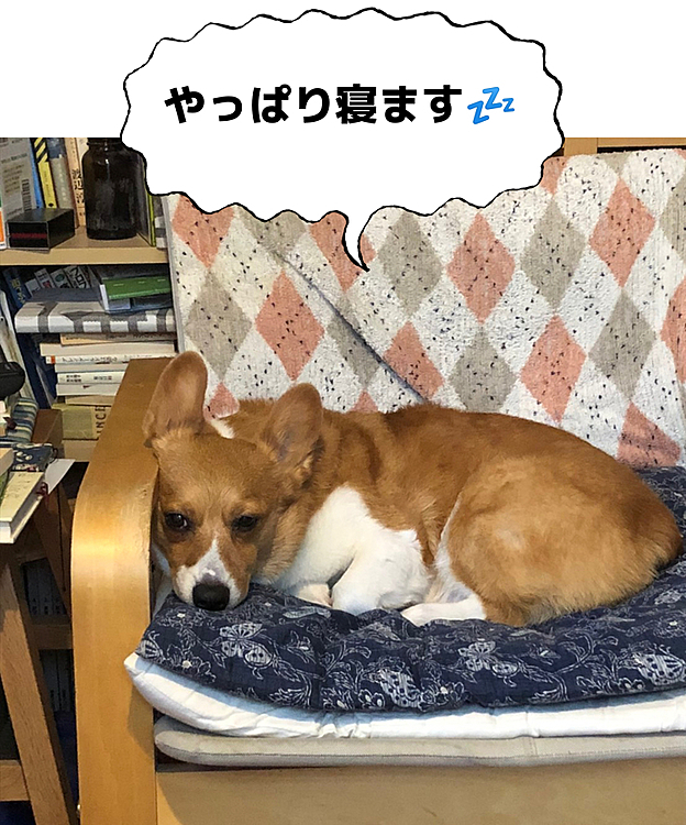 疲れたら寝て…そんなマーチはもっとうらやましい😆