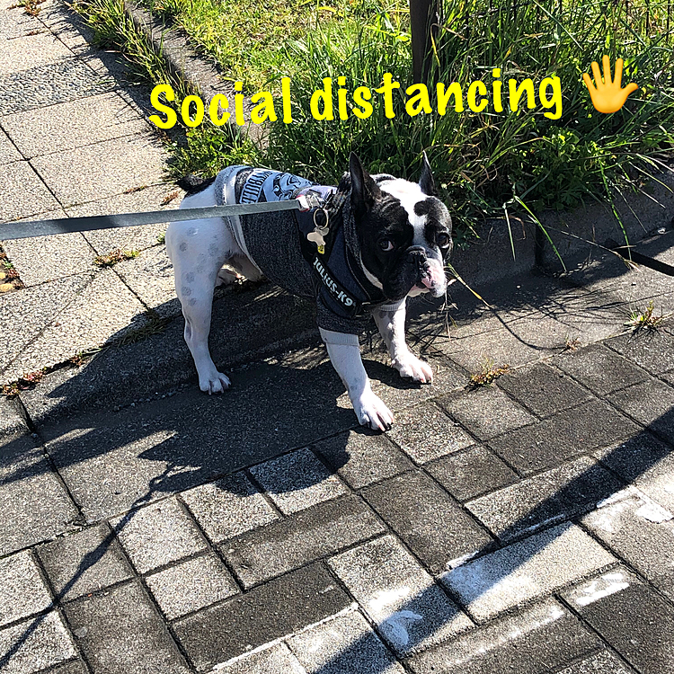 こんばんは🌆
まろはビビリなので、自然と人と距離を取ります😅