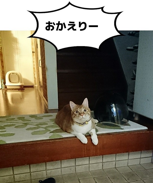 ます0802の投稿
