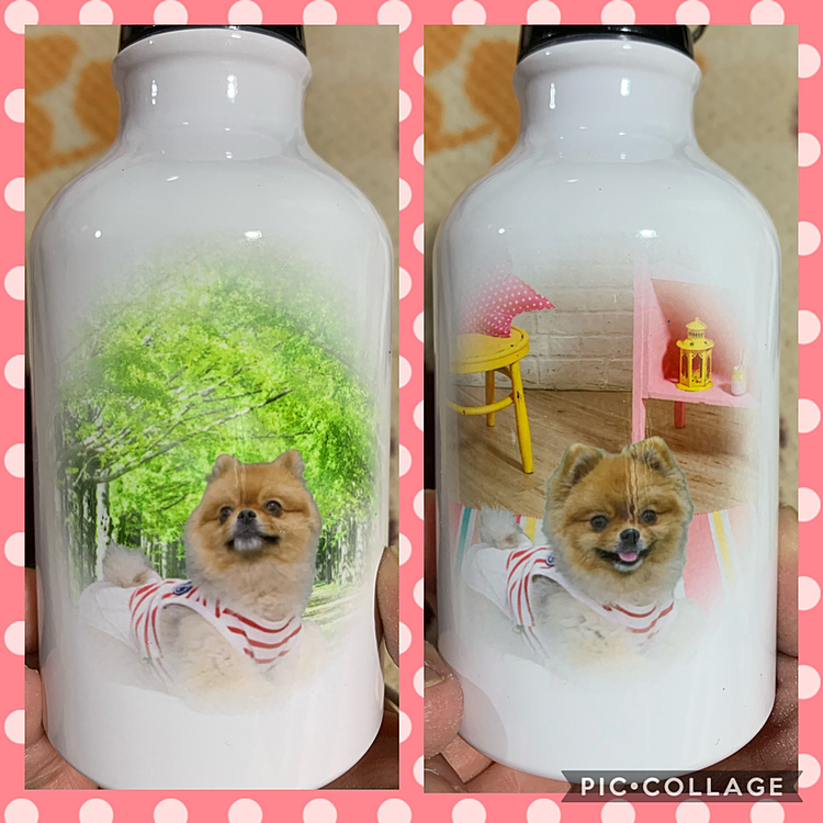 愛知県独自の非常事態宣言が出る前、いつも行くペットショップで作りました😆

先日、いつも行くペットショップの中に、フォトショップが出来ており、機材は本格的なカメラがあるのですが、撮影は飼い主が行う為無料で、その写真を使いグッズが作れるので、グッズを作る場合は、グッズ代がかかります😄

と言うわけで、ルルちゃんの写真で、お散歩にお水を持ち歩けるボトルを作っちゃいました〜😆

カメラマン　　ルルママ❣️
モデル　　　　ルルちゃん❣️