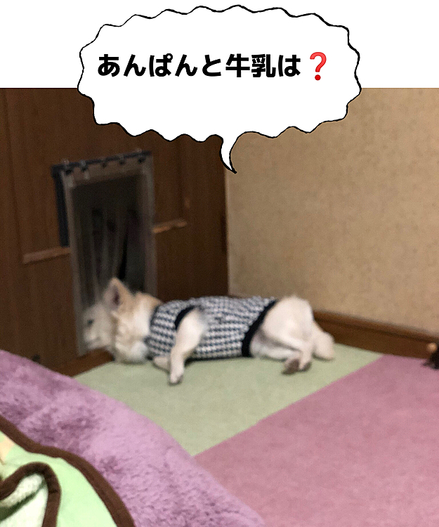 小雪(刑事)デカ
張り込み始めました🤣