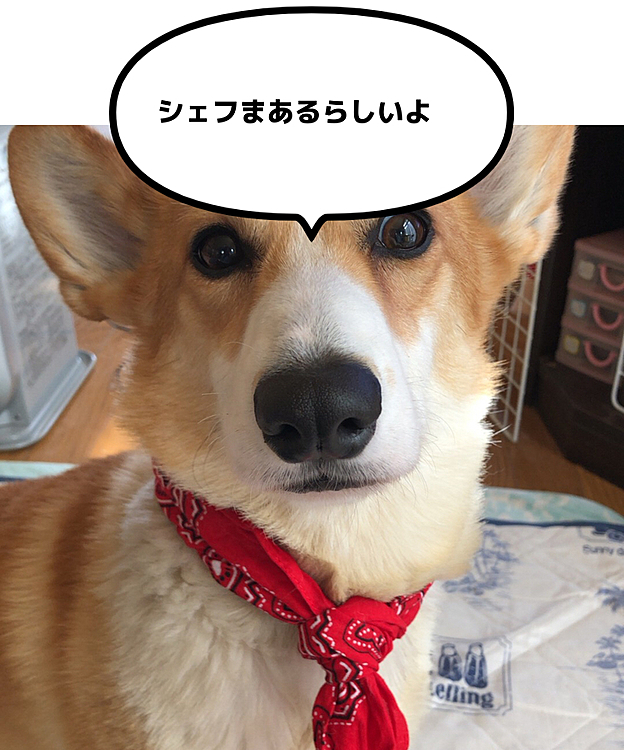 おかーさん😃
何でも作ってあげまちゅよ〜💕
って、言ってくれないかなぁ🤣🤣
