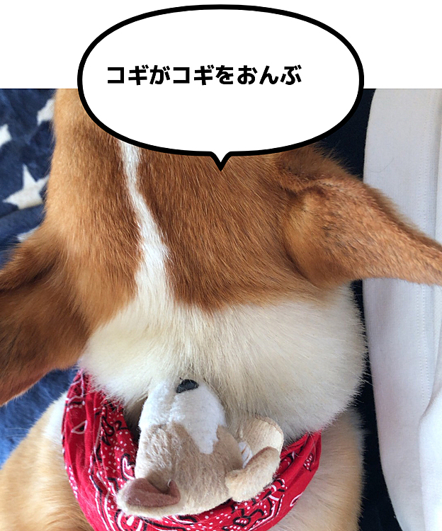 まある、子守中〜😍
あら?まあるまで寝ちゃった🤣🤣🤣笑笑
おかーさん。。チビコギ起きるから静かにちてくだちゃい😃笑笑