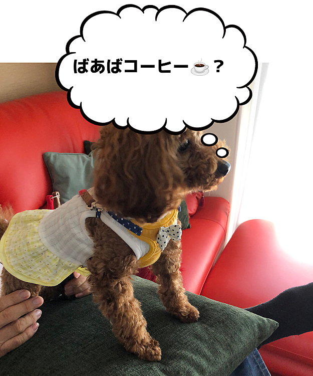 ばあば👵のお茶の☕️時間です。
楽しみな時間です。👵
