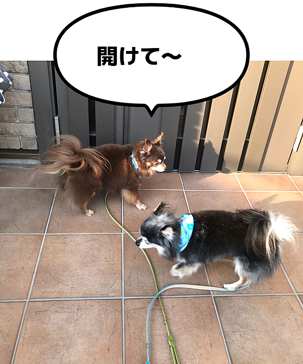 お久しぶりです💦
皆さんの投稿も見れずコメントも出来ずバタバタしておりました🙏すいません💦

昨日は男子チームシャンプーの日でした❣️

