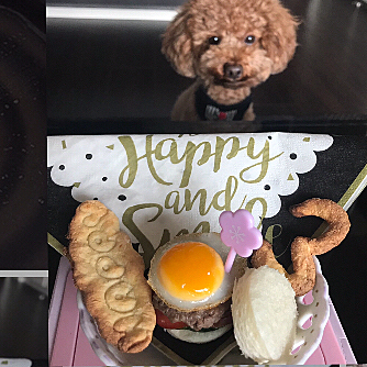 返信コメントに写真を載せられ無いので、昨日の投稿の補足&裏話です😉

昨日のお散歩に持参したランチはこんな感じでした🍔
ウズラの卵の目玉焼きを焼いたり、トマト🍅やきゅうり🥒をとにかく小さいのでチマチマ切って作ったのが昨日の動画のように30秒で完食でした😆