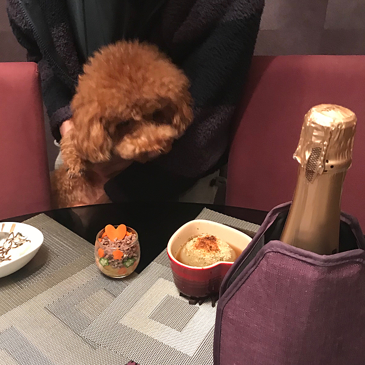 そしてハッピーの記念日に乗じてスパークリングワインで乾杯🥂