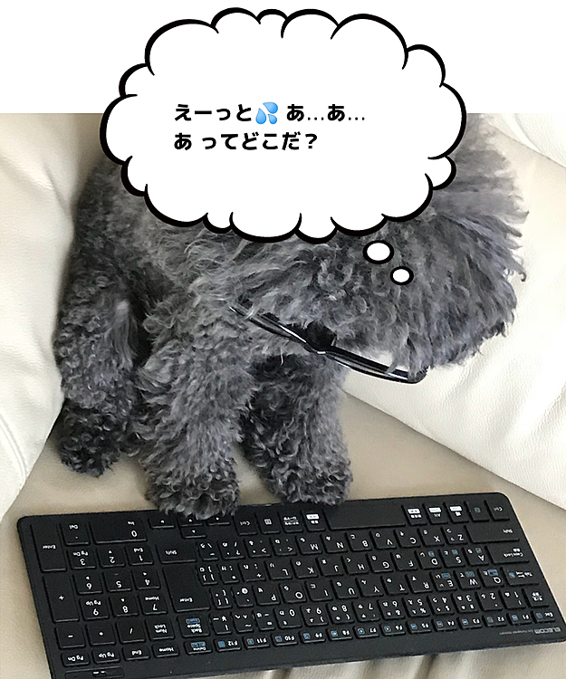 とーちゃんが起きてくる前に お仕事しちゃうの？？？😱
お仕事モードで気合いはバッチリ🤓
でもキーボードの操作は苦戦中😓
だ…大丈夫かな？😅