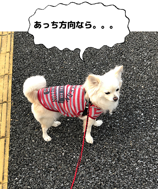 何やら企らんでるっぽい…