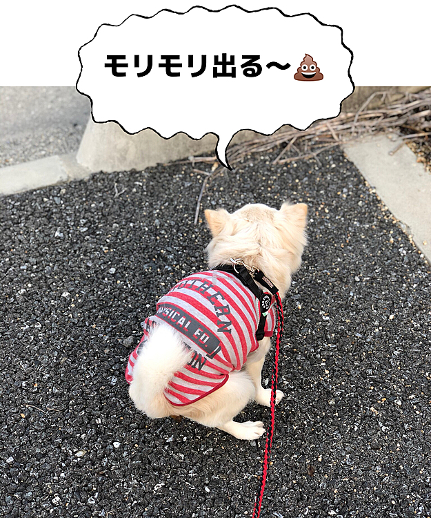 そんな事やろうと思ったわッ🤣