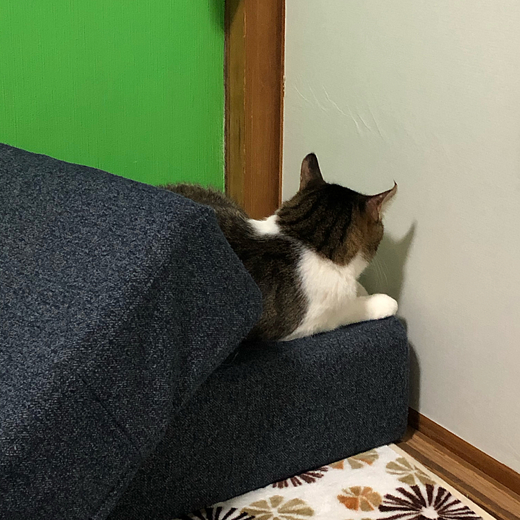 こんな所で...どうしたの😳