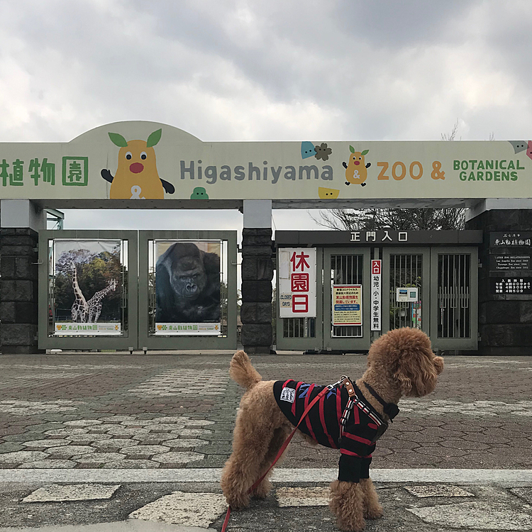 ハピ男ママ🎶の投稿