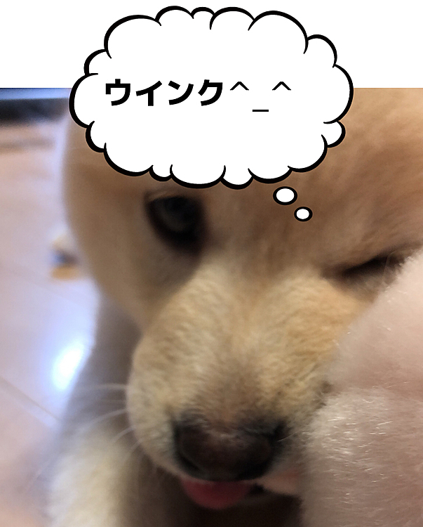 きせきだー！！！！ウインクしてる＼＼\\٩( 'ω' )و //／／