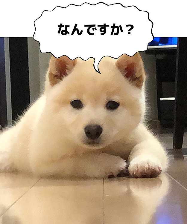 なんでもないです‼️撮りたいけど、、、、