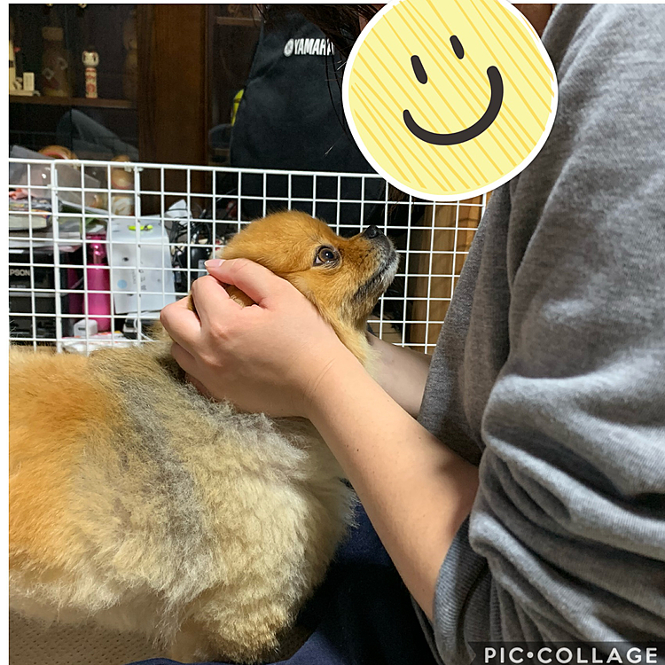 お風呂から上がったお姉ちゃんに、目一杯甘えてるルルちゃん❣️