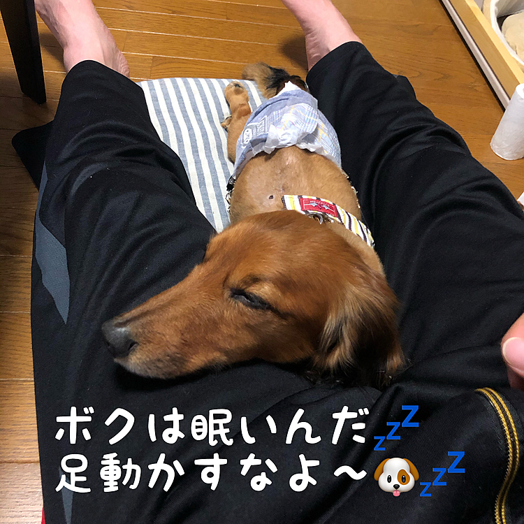え～⁉️💦
今日はプールリハビリやろうと思ってたのに💦💦💦