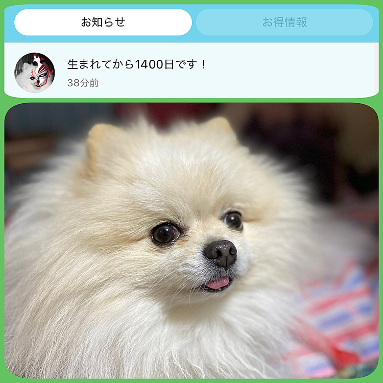 今日で生まれてから1400日らしい。( ﻿˶﻿ˆ꒳ˆ˵﻿ )